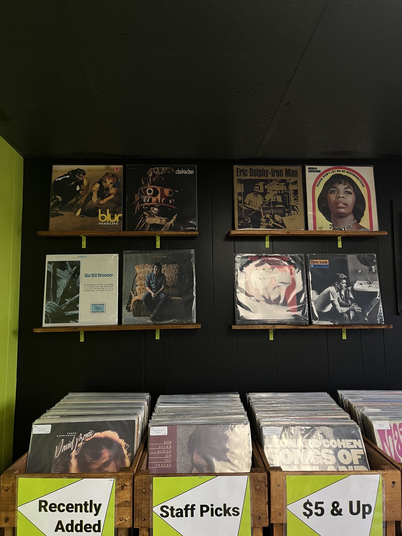 Orono’s newest addition to town Lizard Dog Records The Maine Campus